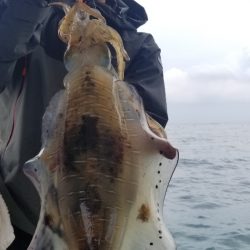 ソルトウォーターガイドフレンズ 釣果