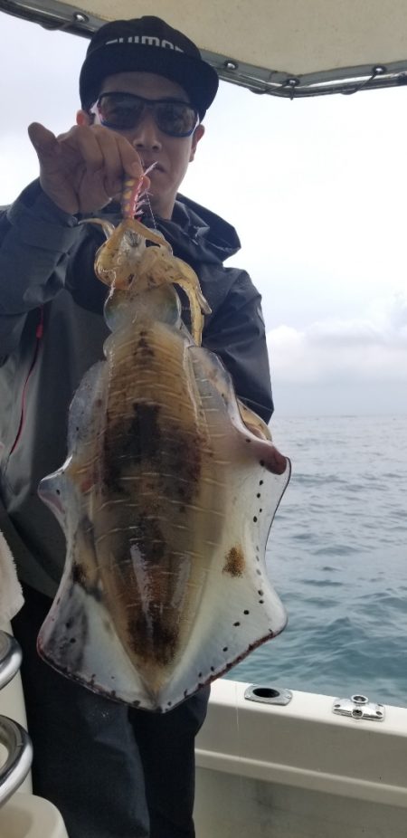 ソルトウォーターガイドフレンズ 釣果