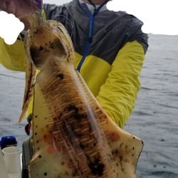 ソルトウォーターガイドフレンズ 釣果