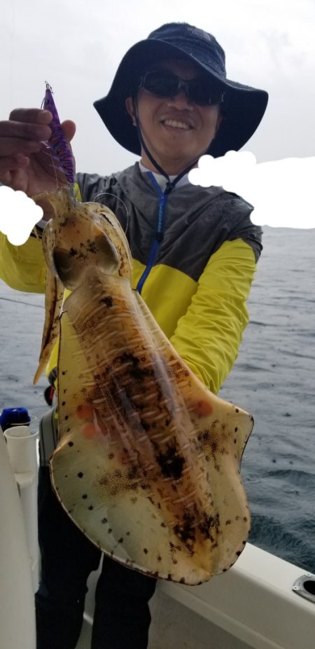 ソルトウォーターガイドフレンズ 釣果