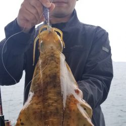 ソルトウォーターガイドフレンズ 釣果