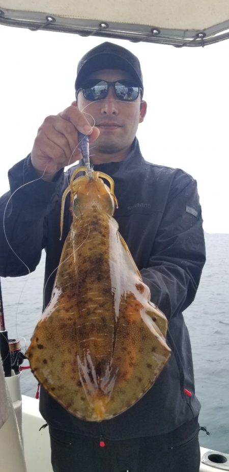 ソルトウォーターガイドフレンズ 釣果