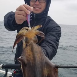 ソルトウォーターガイドフレンズ 釣果