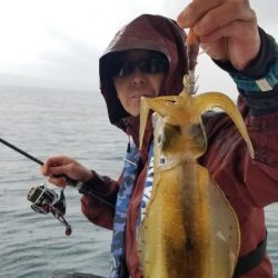 ソルトウォーターガイドフレンズ 釣果