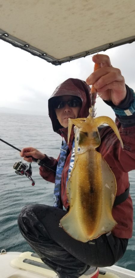 ソルトウォーターガイドフレンズ 釣果