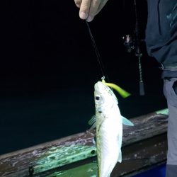 海龍丸（石川） 釣果