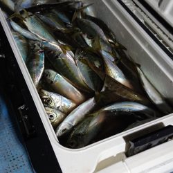 シースナイパー海龍 釣果