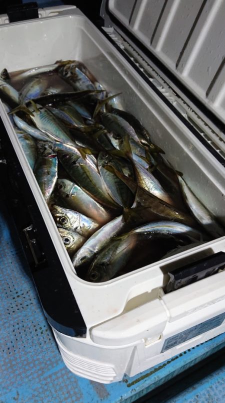 シースナイパー海龍 釣果