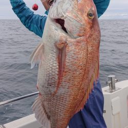 ARCADIAⅡ （アルカディアⅡ） 釣果