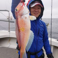 ARCADIAⅡ （アルカディアⅡ） 釣果