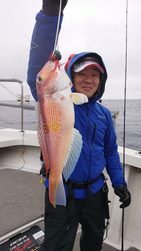 ARCADIAⅡ （アルカディアⅡ） 釣果