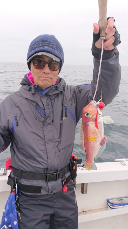 ARCADIAⅡ （アルカディアⅡ） 釣果