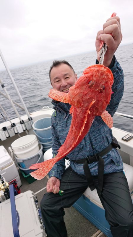 ARCADIAⅡ （アルカディアⅡ） 釣果