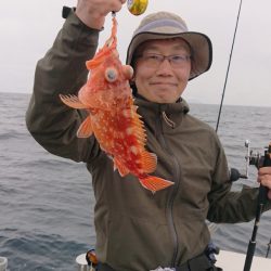 ARCADIAⅡ （アルカディアⅡ） 釣果