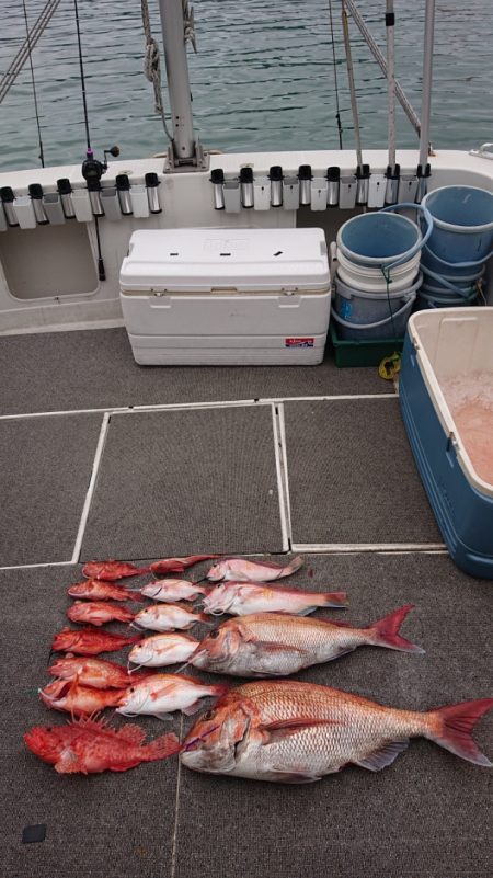 ARCADIAⅡ （アルカディアⅡ） 釣果