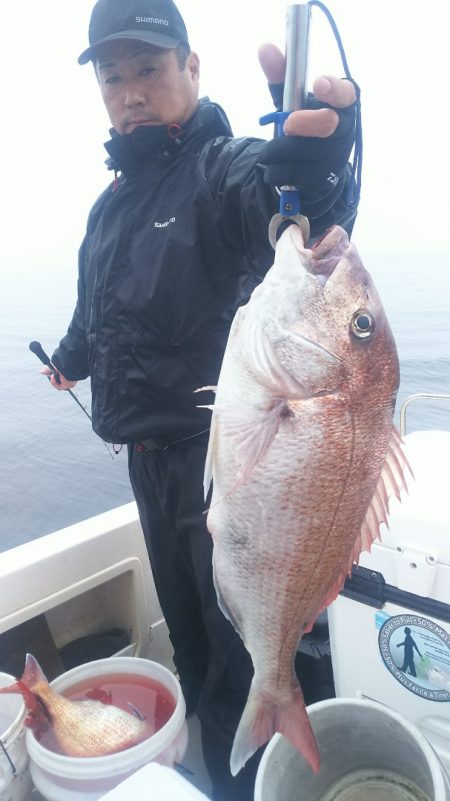 ブルドック 釣果