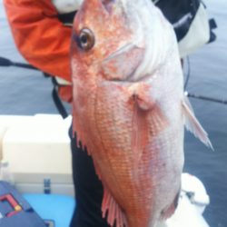 ブルドック 釣果