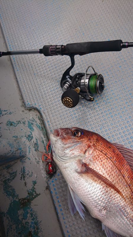 だて丸 釣果