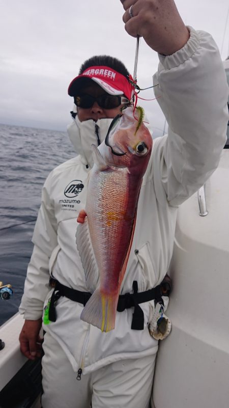 ARCADIAⅡ (アルカディアⅡ) 釣果