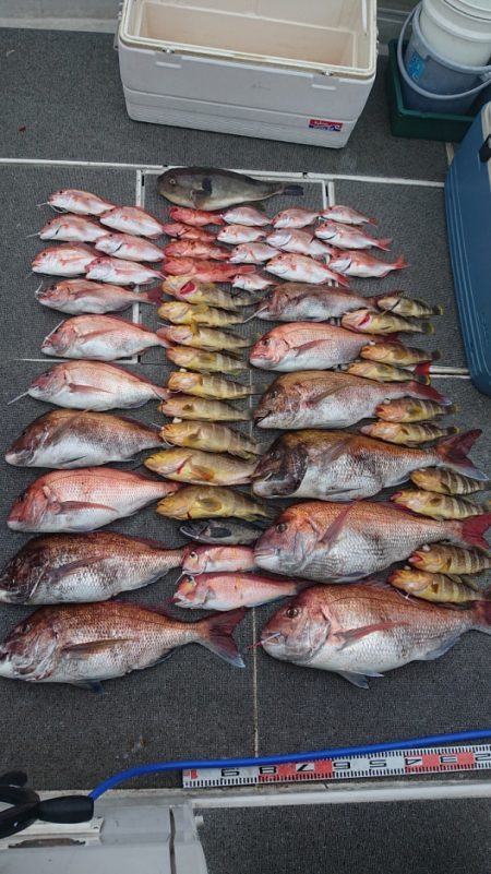 ARCADIAⅡ (アルカディアⅡ) 釣果