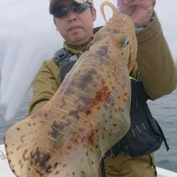 きずなまりん 釣果