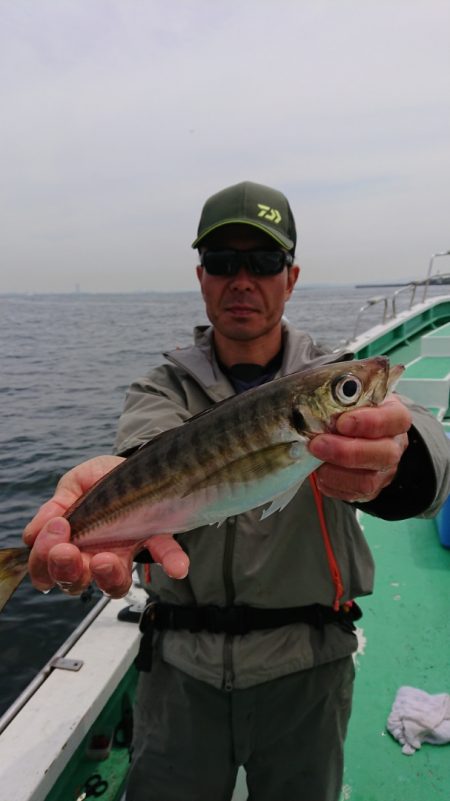 金沢八景鴨下丸 釣果