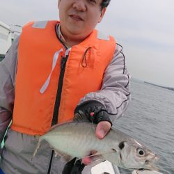 金沢八景鴨下丸 釣果