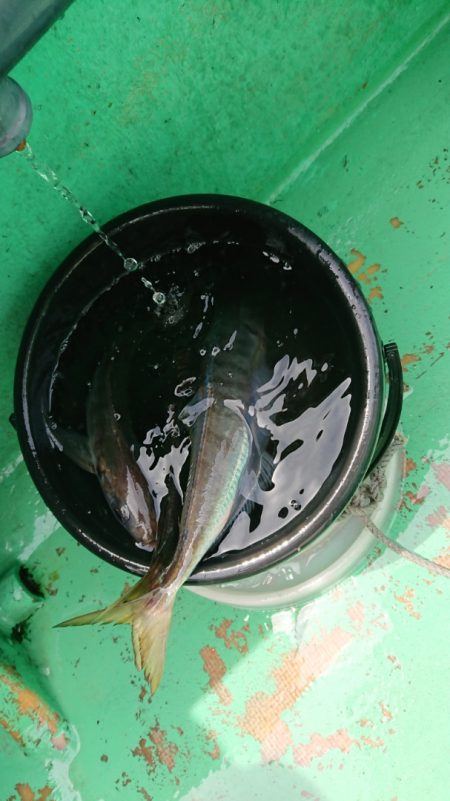 金沢八景鴨下丸 釣果