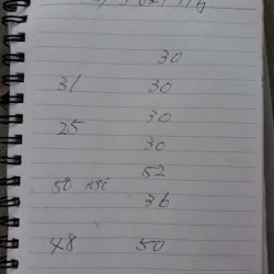 金沢八景鴨下丸 釣果