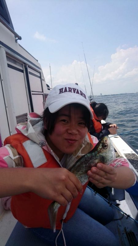 金沢八景鴨下丸 釣果