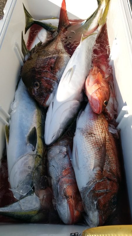 LUSTER『ラスター』 釣果