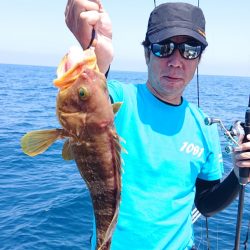 ARCADIAⅡ (アルカディアⅡ) 釣果