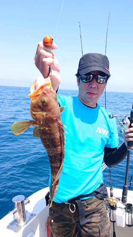 ARCADIAⅡ (アルカディアⅡ) 釣果