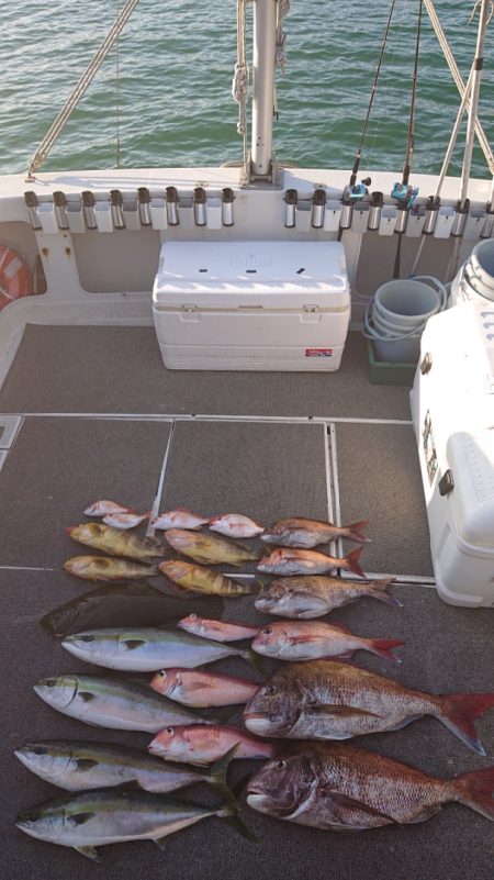 ARCADIAⅡ (アルカディアⅡ) 釣果