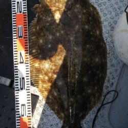 第二龍勢丸 釣果