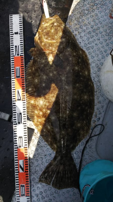 第二龍勢丸 釣果