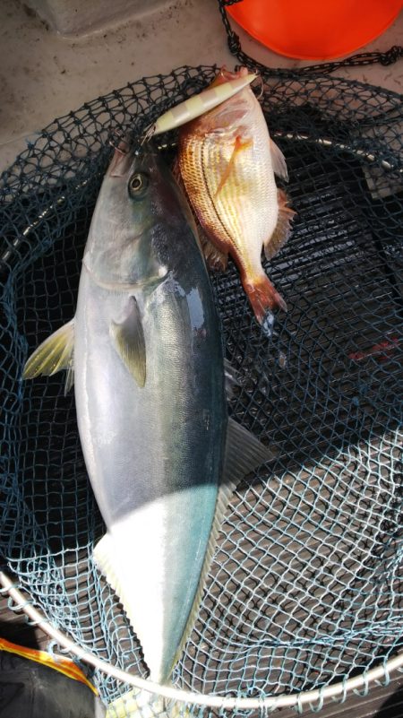 第二龍勢丸 釣果