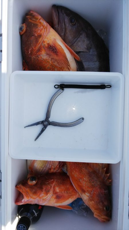 第二龍勢丸 釣果