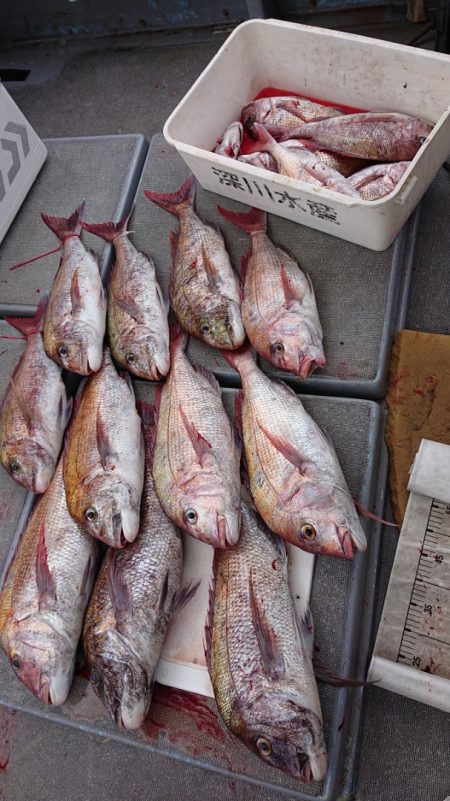 海皇丸 釣果