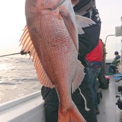 だて丸 釣果