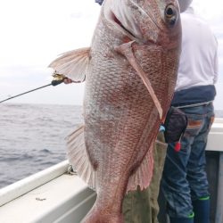 だて丸 釣果
