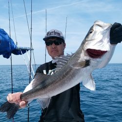 LUSTER『ラスター』 釣果