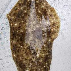 第二龍勢丸 釣果