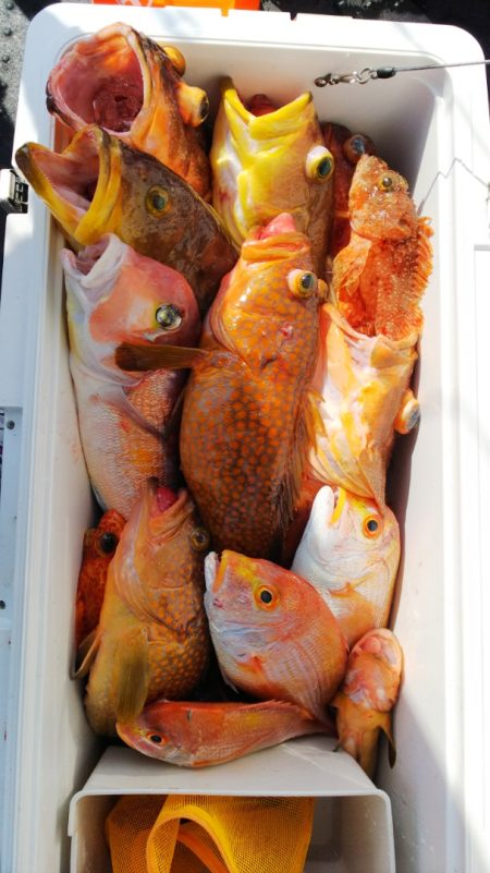 第二龍勢丸 釣果