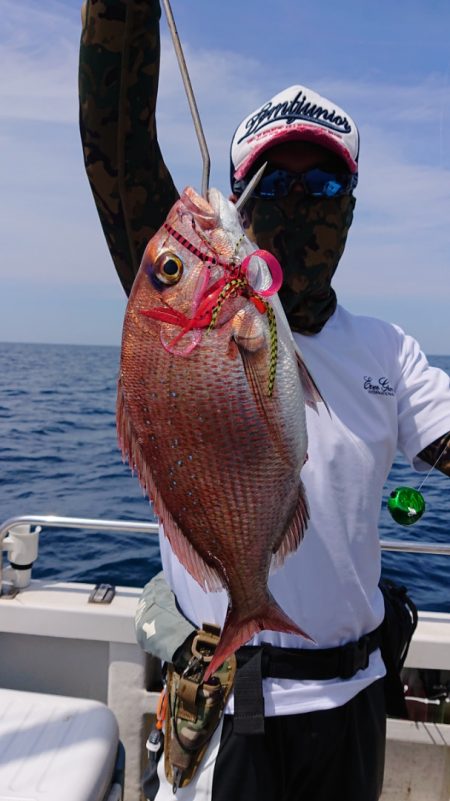 ARCADIAⅡ (アルカディアⅡ) 釣果