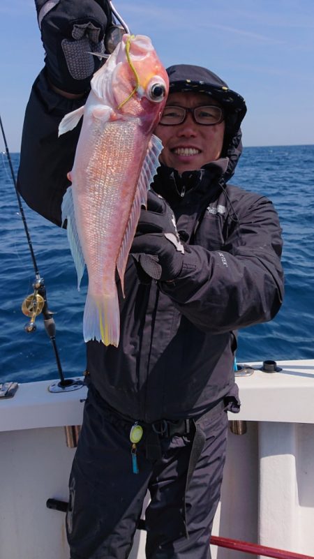 ARCADIAⅡ (アルカディアⅡ) 釣果