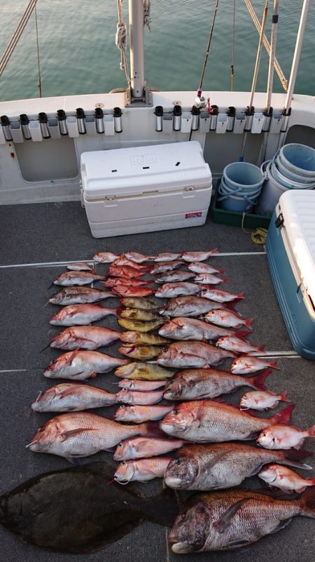 ARCADIAⅡ (アルカディアⅡ) 釣果