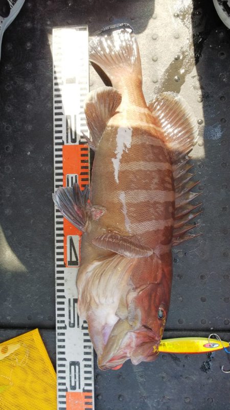 第二龍勢丸 釣果