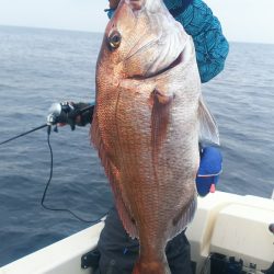 ブルドック 釣果