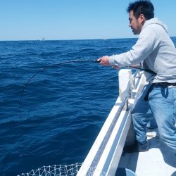 LUSTER『ラスター』 釣果